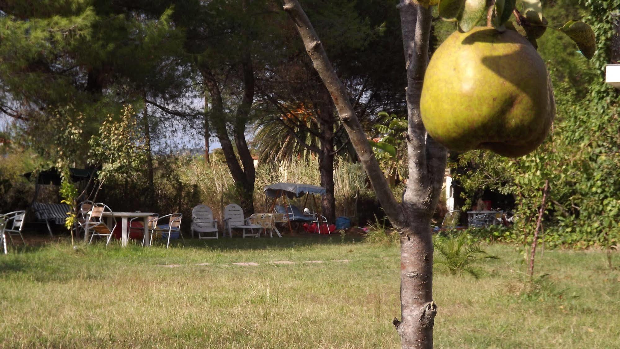 Pefka Studios & Apartments Chalkidiki ภายนอก รูปภาพ