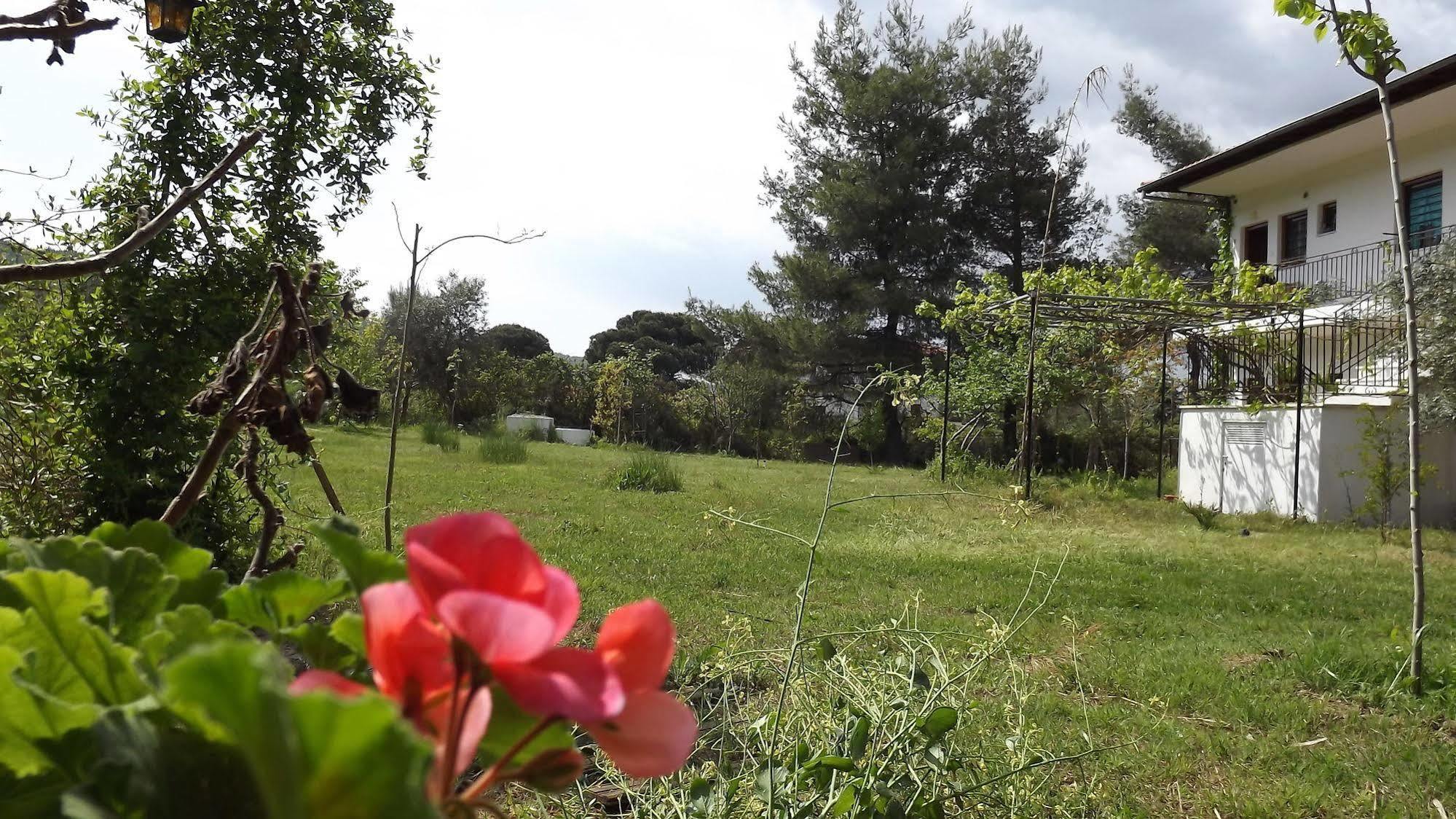Pefka Studios & Apartments Chalkidiki ภายนอก รูปภาพ