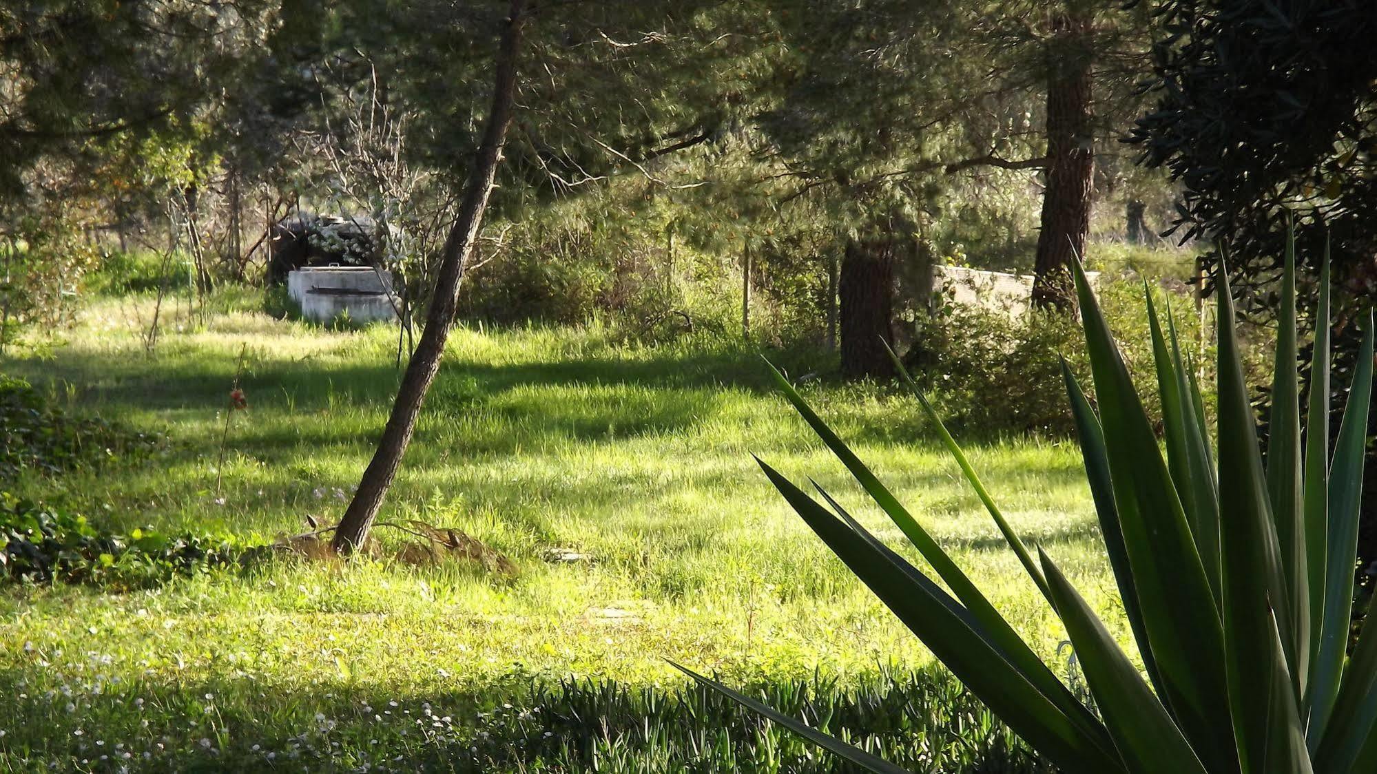 Pefka Studios & Apartments Chalkidiki ภายนอก รูปภาพ